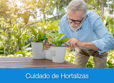 Residencia del sur