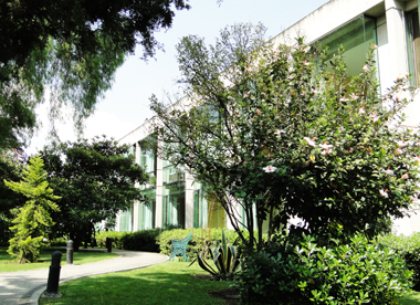 Residencia del sur