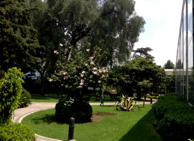 Residencia del sur